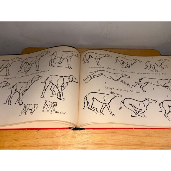 Vintage How To Draw By Victor Perard Hardcover Art Instruction Book Tutorial - Picture 15 of 16